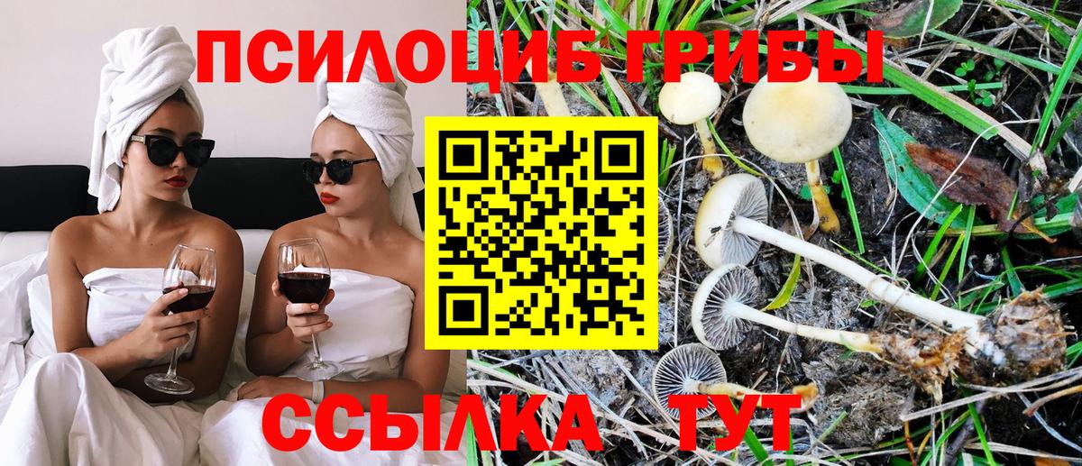 Галлюциногенные грибы Cubensis Новочебоксарск